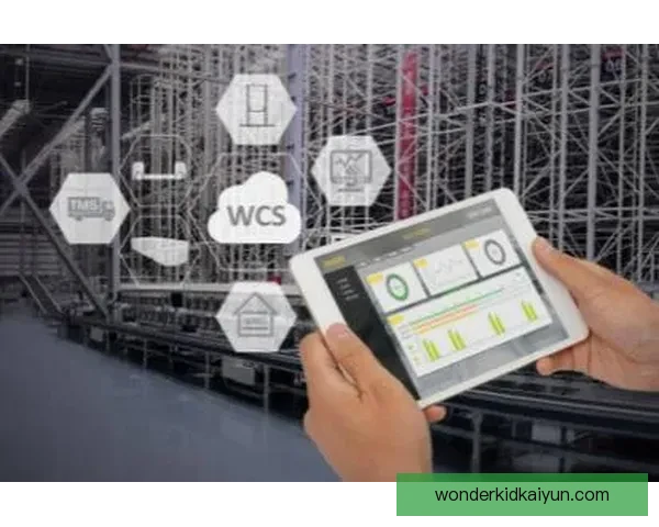 弗兰克·安吉萨状态回暖，逐渐展现出竞争力增强的表现